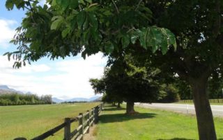 Buy a house in Queenstown Wanaka Arrowtown Buyers Agent NZ real estate
