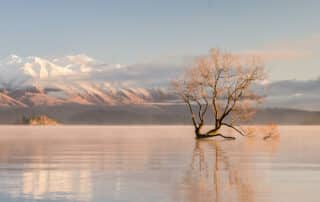 Trading The City For Serenity: Why Aucklanders Are Moving To Wanaka