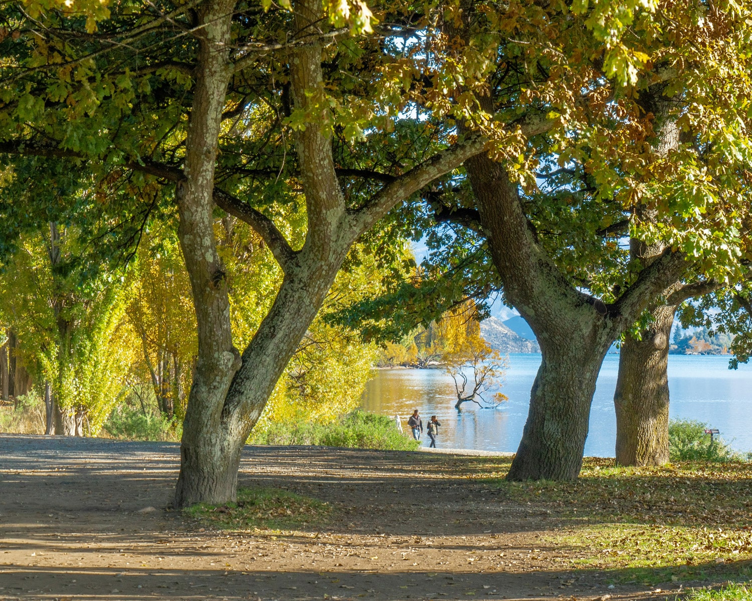 Lake Wanaka Is Where Locals Relax – Boating And Swimming Lake Wanaka Is Where Locals Relax - Boating And Swimming